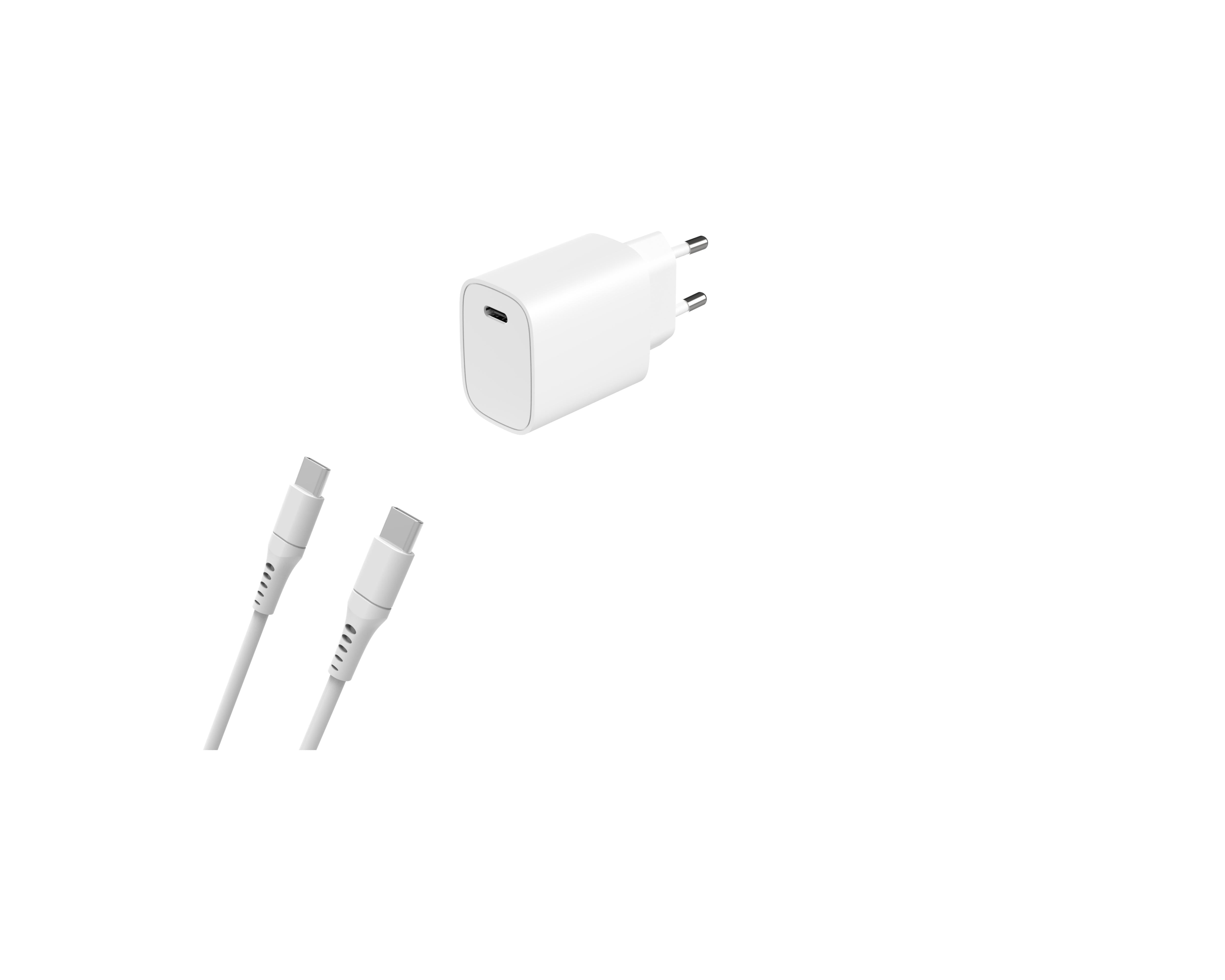 Câble et Prise Murale (USB-C + USB-C) 20W - WTK